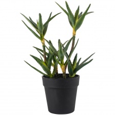 Faux Aloe in a pot by Grand Illusions